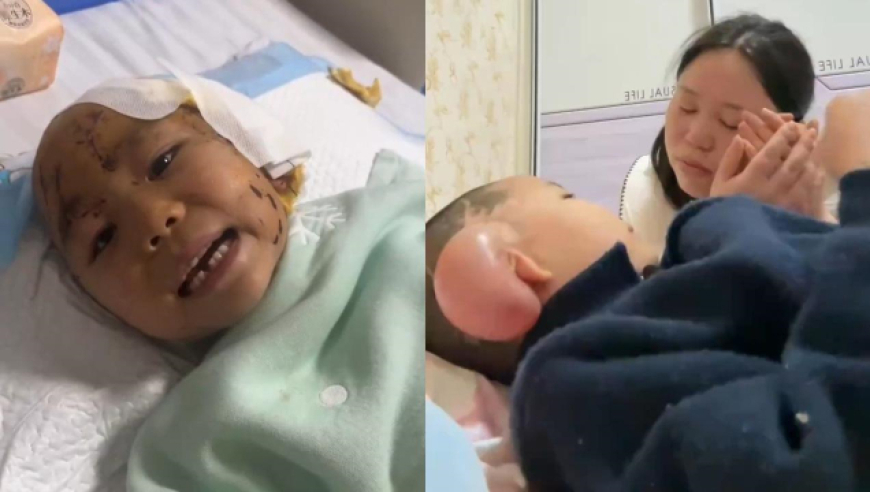 一代人有一代人的痛柜,老香港今晚开什么,权威独家讨论与热门话题_交互版V6.25