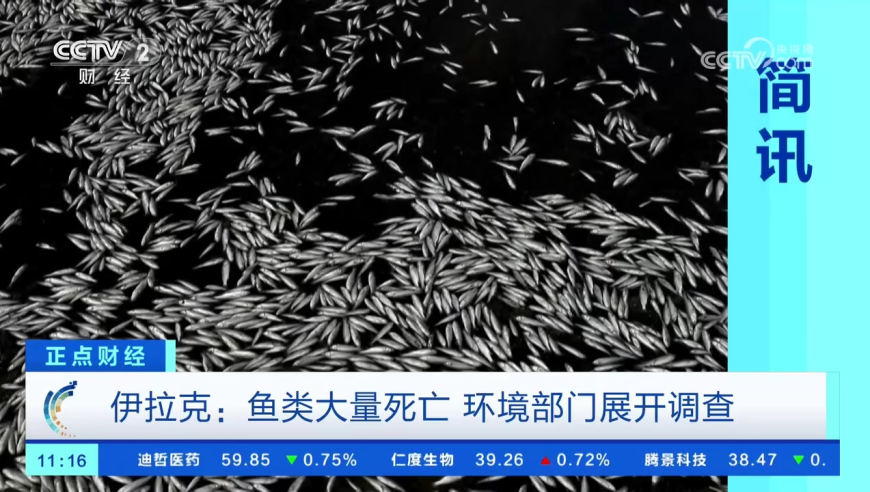 邓超说拍个视频发给热巴,香港二四六天天开奖免费资料大全一,前瞻性战略落实探讨_粉丝版V13.28